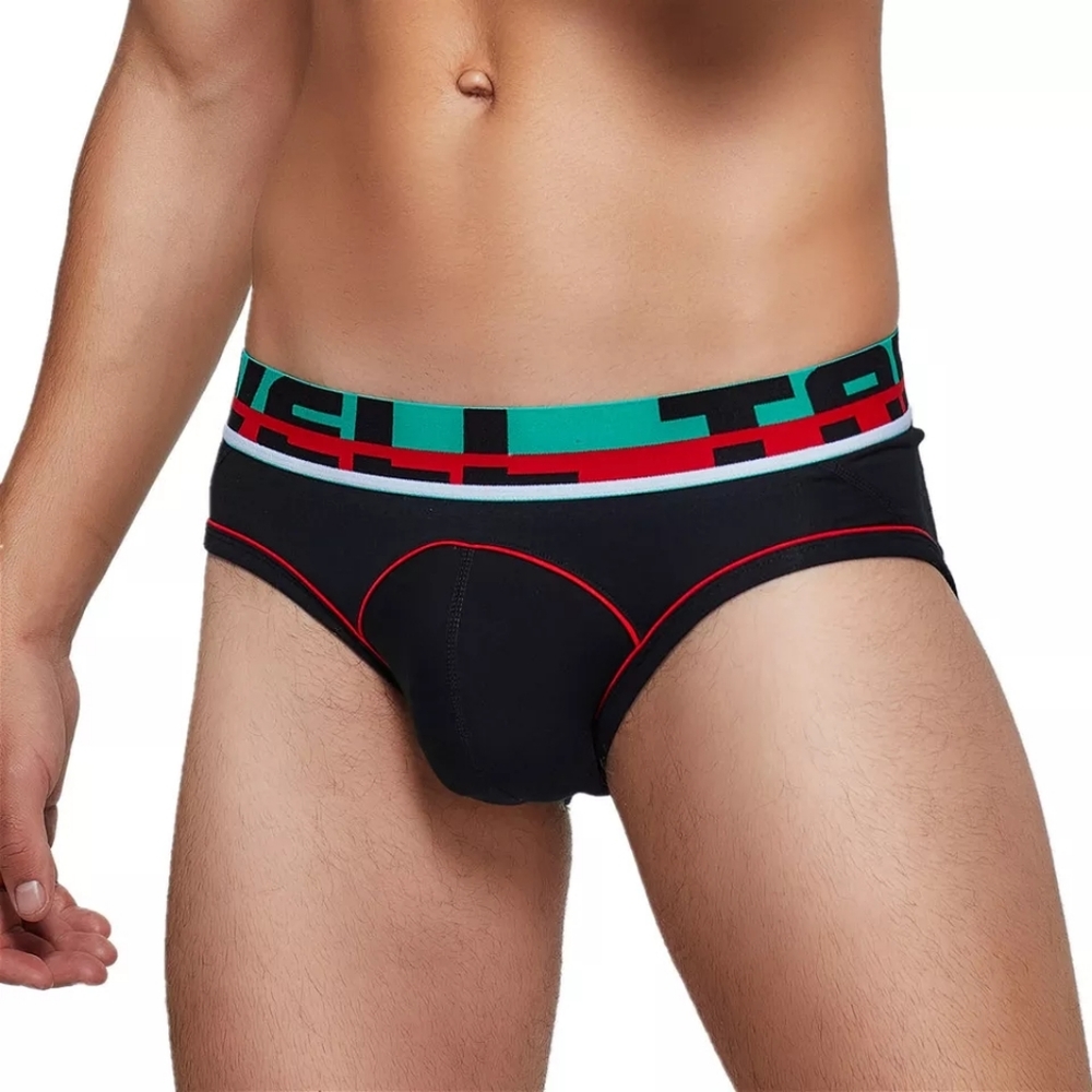 TAUWELL Brief